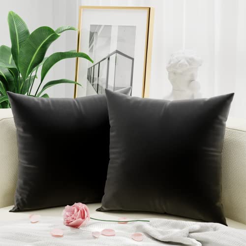 ONME Black Velvet Pillow Covers, Throw Pillow Covers 18x18 inch, Set of 2 Soft Decorative Pillow Cover for Couch Décor